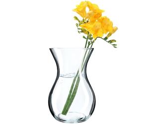 KADAX Vase à Fleurs en Verre Transparent de 18 cm, diamètre : 8 cm, avec col de 11 cm, Vase de Table en Verre Transparent, Vase décoratif pour Le Salon