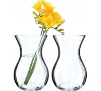 KADAX Vase "Jena", Vase en verre, Vase en verre pour fleurs, Vase de table transparent, Vase en verre clair, 2 pièces