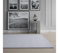 KADIMA DESIGN Tapis Moelleux Poils Longs Doux Confortable Pile épaisse Moderne Lavable Argent 80x250 cm Salon Chambre Chauffage au Sol Oeko-TEX | NECKAR