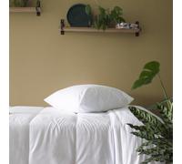 Kadolis - Couette Adulte Chaude 240x220 cm Tencel™ Coton Bio - Hawi | Couette Chaude pour lit 2 personnes - 400gr/m2 - douce et respirante - certifiée OEKO-TEX®
