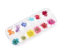KADS Kit de nail art 475 pièces avec foret fleur sèche et autres outils