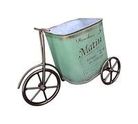 Kaeltsyn Bicyclettes uniques en métal avec jolis pots de fleurs artistiques sur le thème du cyclisme pour pelouses et jardins portables