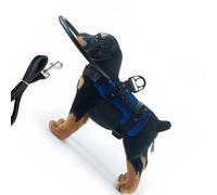 Kaeltsyn Dispositif d'assistance en polyester pour animaux de compagnie combinant pare-chocs et laisse réglable pour petits chiens de moyenne taille, utilisation en intérieur et en extérieur