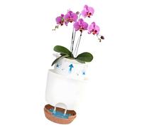 Kaeltsyn Lot de 2 pots de fleurs transparents à double couche pour une meilleure ventilation et santé des racines - Conteneur de jardin blanc