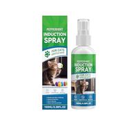 Kaeltsyn Natural for Cats Safe Fun Interactive Training Toy Effect Active Catnips Sprays