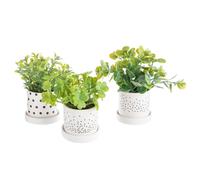 KAEMINGK-Pot de plante succulente coloris vert en céramique - diamètre 8 cm