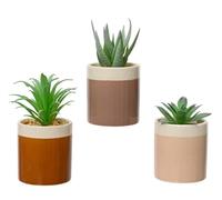 KAEMINGK-Pot de succulente coloris marron en céramique - diamètre 6 cm