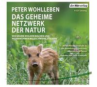 Kaempfe,Peter - Das Geheime Netzwerk der Natur [Import]