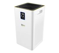 Kärcher Purificateur d'Air AF 30, Débit: 320 m³/h, Taille Pièce: 30 m², Puissance Filtration: Élimine 99,95% des Particules jusqu'à 0,3 μm type Poussière, Pollen & Allergènes, Mode Automatique & Nuit
