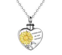 KAHDGSS Collier avec pendentif urne funéraire galvanisé pour animaux domestiques - En acier inoxydable