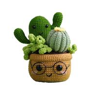 KAHDGSS Kits de crochet pour plantes - Kit de crochet pour débutants avec vidéo en anglais