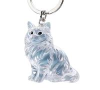 KAHDGSS Memorial Pet Lover Essential Organisateurs de cheveux en forme de chaton pour ranger les poils perdus Construction Boîte commémorative en acrylique