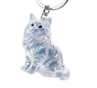 KAHDGSS Memorial pour Animaux De Compagnie Collecteur Commémoratif Suspendu pour À Main Transporter Les Chats Contenant De Rangement Cheveux Décoratif Bac en Acrylique