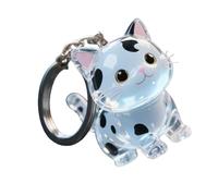 KAHDGSS Memorial pour Animaux De Compagnie Collecteur Commémoratif Suspendu pour À Main Transporter Les Chats Contenant De Rangement Cheveux Décoratif Bac en Acrylique