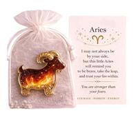 KAHDGSS Zodiacs Pocket Hug Souvenirs Inspirants Échange de Cartes de Relations pour Les collègues Jetons de Famille