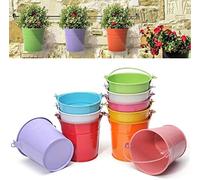KAHEIGN 12 Pièces Mini Pots de Fleurs Suspendus en Métal, 6cm Pots de Fleurs Seau à Fleurs Suspendu avec Poignée Amovible pour Balcon Clôture Jardin Décor à la Maison (12 Couleurs)