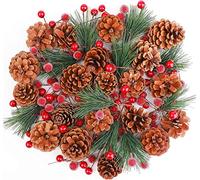 KAHEIGN 130 Pièces Noël Artificielle Pomme Pin Baie, 20 Pommes de Pin Naturelles, 100 Baies Rouges, 10 Branches de Pins, Guirlande de Noëls Faisant Ornement d'arbre de Noël Fête d'hiver Maison