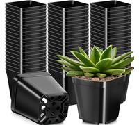KAHEIGN 50 Pièces Pots de Plantes Carrés, 10CM Pots de Fleurs en Plastique Épais Jardinière Succulente Pots de Pépinière avec Trous de Drainage pour Petites Plantes en Pot (Noir)