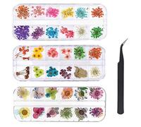 KAHEIGN 96 Pièces Fleur Séchée pour Ongles, 3D Nail Art Véritable Fleur Séchée Nail Applique Nail Pièces Préservé Fleur Manucure Nail Art Décoration - avec Pince À Épiler