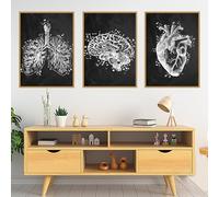 KAIDAARTLH Affiches abstraites, anatomie, organes, cœur, cerveau, pratique médicale, impressions murales pour hôpitaux, cliniques, décoration sans cadre(B,3x50x70cm)