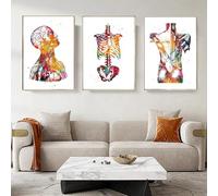 KAIDAARTLH Poster Anatomie, Fleurs Squelette Organe Anatomie Images sur toile, système musculaire humain Affiche Set Art Bureau Médical, Sans cadre(A,3x20x30cm)