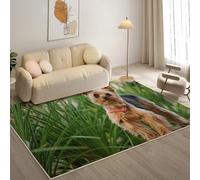 KaiHeBeding Tapis Salon Lavable 140x200cm, Yorkshire Terrier Tapi AntidéRapant, pour Salon, Salle à Manger, Cuisine, Bureau, Tapis de Chambre Chien Descente de Lit RéSistant