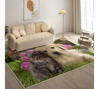 KaiHeBeding Tapis Salon Lavable 160x230cm, Chiot Tapi AntidéRapant, pour Salon, Salle à Manger, Cuisine, Bureau, Tapis de Chambre Chaton Descente de Lit RéSistant
