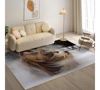 KaiHeBeding Tapis Salon Lavable 160x230cm, Lhassa Apso Tapi AntidéRapant, pour Salon, Salle à Manger, Cuisine, Bureau, Tapis de Chambre Animaux de Compagnie Descente de Lit RéSistant