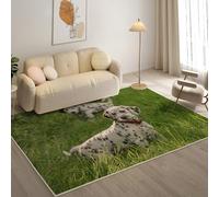 KaiHeBeding Tapis Salon Lavable 200x300cm, Dalmatien Tapi AntidéRapant, pour Salon, Salle à Manger, Cuisine, Bureau, Tapis de Chambre Animaux de Compagnie Descente de Lit RéSistant