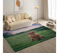 KaiHeBeding Tapis Salon Lavable 60x90cm, Vizla Russe Tapi AntidéRapant, pour Salon, Salle à Manger, Cuisine, Bureau, Tapis de Chambre Animaux de Compagnie Descente de Lit RéSistant