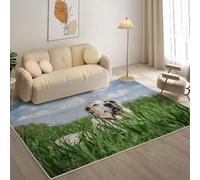 KaiHeBeding Tapis Salon Lavable 80x150cm, Berger D'Asie Centrale Tapi AntidéRapant, pour Salon, Salle à Manger, Cuisine, Bureau, Tapis de Chambre Animal Descente de Lit RéSistant