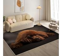 KaiHeBeding Tapis Salon Lavable 80x150cm, Terre-Neuve Tapi AntidéRapant, pour Salon, Salle à Manger, Cuisine, Bureau, Tapis de Chambre Animaux de Compagnie Descente de Lit RéSistant