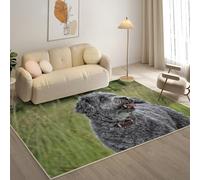 KaiHeBeding Tapis Salon Lavable 80x150cm, Terrier Teddy Roosevelt Tapi AntidéRapant, pour Salon, Salle à Manger, Cuisine, Bureau, Tapis de Chambre Gris Descente de Lit RéSistant