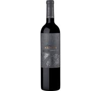 Kaiken, Obertura` Uco Valley Cabernet Franc (Caisse de 6x75cl) Argentine/Mendoza (100% Cabernet Franc) Vin rouge