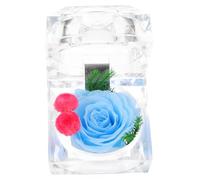 KAILIKETIY 1pièce Boîte à Bijoux Fleurs Préservées Coffret Chic avec Rose Bud pour Anneaux Et Petits Bijoux pour Mariage Fête des Mères Et Anniversaires