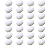 KAILIKETIY Lot de 28 Œufs en Plastique Blanc Solides pour Pigeons, Réutilisables et Faciles à Stocker, pour L'éclosion Décoration de Nid