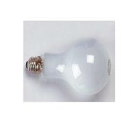 Kaiser - Lampe 500W Photoflood - KAI3126