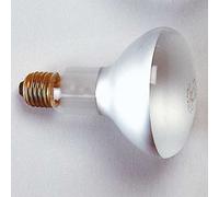 KAISER 3128 Lampe Photoflood Reflecteur 150W/3200K