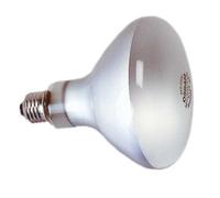 Kaiser - Lampe Photoflood 500W - KAI3125