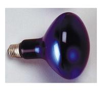 Kaiser - Lampe Photoflood 500W - KAI3129