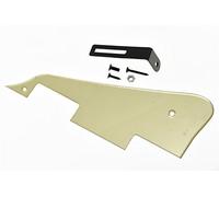 KAISH Gold Mirror LP Pickguard de guitare avec support noir pour Epiphone Les Paul