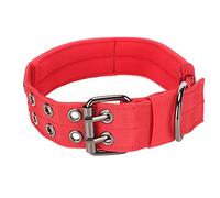 kaisudiAP Collier pour Chien en Nylon Durable pour Chiens de Taille Moyenne et Grande, Collier de Dressage réglable, Boucle en métal Robuste, Fermeture à Broche à Double rangée, (XL)