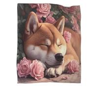 kaiyun Chien endormi - Couverture Chaude Polyvalente pour Canapés,Illustration d'animal Mignon Édredon De Lit De Voyage Douce Et,40x50inch(100x130cm)