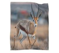 kaiyun Couverture Gazelle Courant on The Savannah, Housse De Canapé-lit Parfaite 50x60inch(127x152cm),Douce Et Confortable Au Toucher,Parfaite pour Garder Toute La Famille Au Chaud