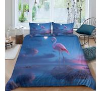kaiyun Flamants Roses perchés sur des rochers sous Un Magnifique Ciel Bleu Parure De Lit Housse 3D Imprimé Microfibre 3 Pièces, Housse Couette avec Taies d'oreiller Filles Garçon King（220x240cm）