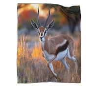 kaiyun Gazelle de Thomson Courant sur Le Prairie, Coucher de Soleil doré, Couverture De Canapé,Édredon Mignonne avec Motif Personnalisée 40x50inch(100x130cm)