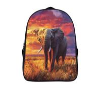 kaiyun Magnifique coucher de soleil coloré Sac À Dos Enfants - Garçons Filles Éléphants on The Grassland Cartable Scolaire Adolescents Bon Pour L'école Et Les Voyages 16 inch