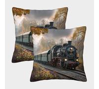 kaiyun Vapeur de Luxe Locomotive à la Campagne Taies d'oreiller Décoratives Motifs Adaptés À La Maison,au Bureau,au Canapé,à La Voiture,au Jardin 50x50cm Paquet De 2