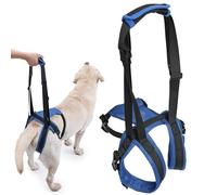 KAJILE Harnais de Soutien pour Chien,Harnais de Jambe Arrière pour Animaux de Compagnie,Formation à la Marche de Récupération,Bleu,XL