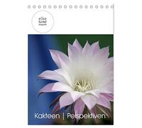 Kakteen Perspektiven (Tischkalender 2026 DIN A5 hoch), CALVENDO Monatskalender: Für Kakteenliebhaber: Ein anderer Blick auf die bizarre Schönheit der stacheligen Sonnenanbeter!